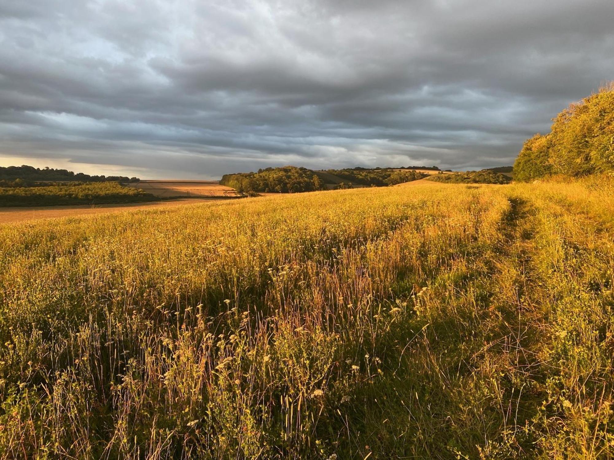 The Chilterns View * Wallingford