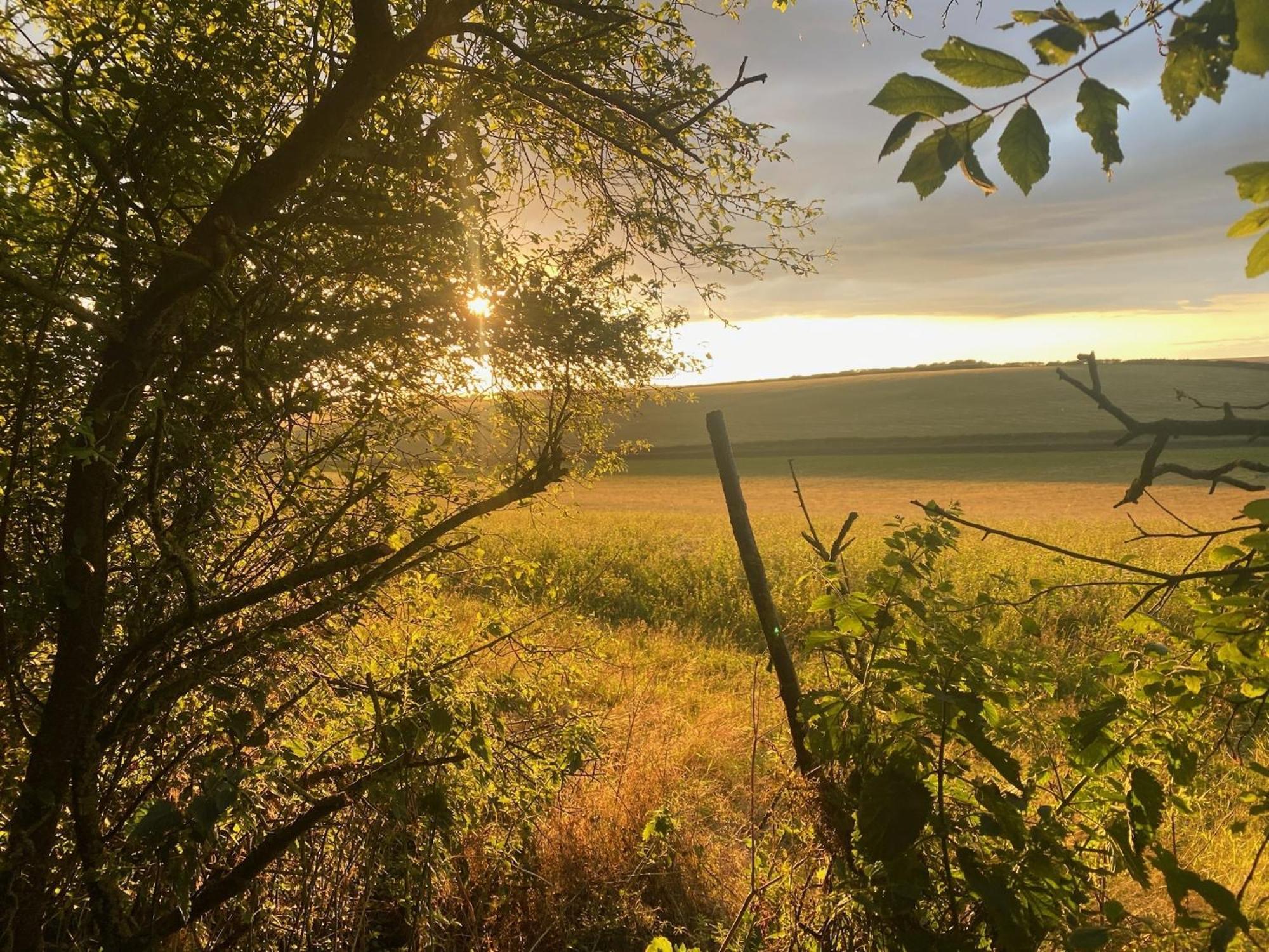 The Chilterns View * Wallingford